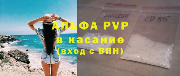 прущие грибы Новокубанск