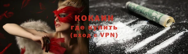 ГАЛЛЮЦИНОГЕННЫЕ ГРИБЫ Нея