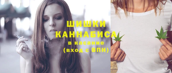 трава Новодвинск