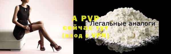 трава Новодвинск