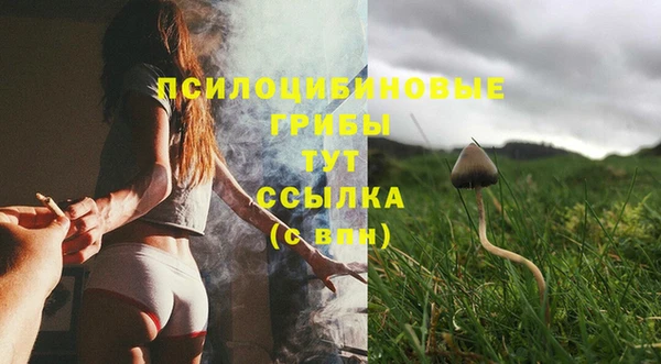 трава Новодвинск