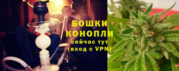 трава Новодвинск