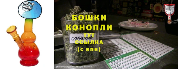 мет Новозыбков