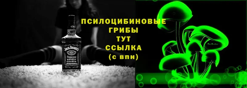 что такое   Миньяр  гидра ссылка  Псилоцибиновые грибы MAGIC MUSHROOMS 